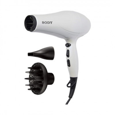 SD3005 Professional Hair Smartphone 2400W with Curly Hair Diffuser