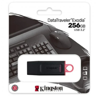 Kingston Data Traveler Exodia 256GB - Flash Drive 1USB 3.2 Gen 1