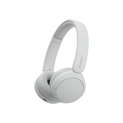 Sony WH-CH520 | Wireless Headphones, Multipoint Connection, with Microphone