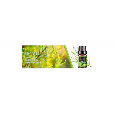 AESHORY Tea Tree Essential Oil – 10ml | 100% Pure, Floral & Natural for Diffusers