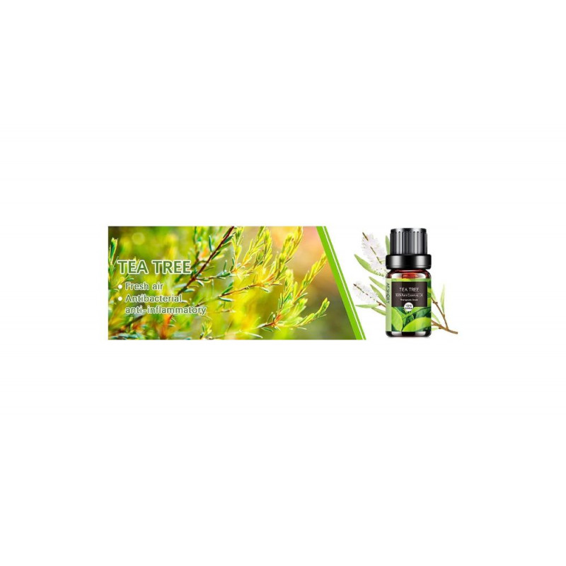 AESHORY Tea Tree Essential Oil – 10ml | 100% Pure, Floral & Natural for Diffusers