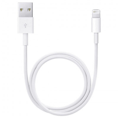 Apple USB To Lightning Cable 0.5M