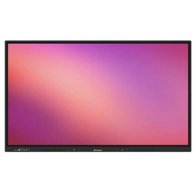 Promethean APE-65-EU-1 65-inch 4K Interactive Touch Monitor with Dual Pen Support and Wall Mount Bracket Compatibility